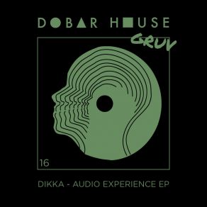 Download track Audio Experience Dikka