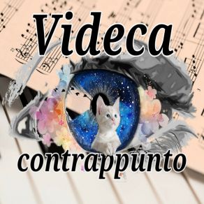 Download track Beautiful Dream Videca