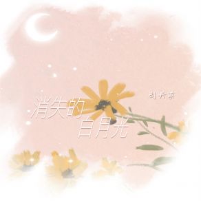 Download track 消失的白月光 (伴奏) 刘丹萌