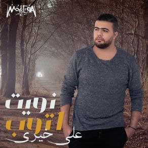 Download track Naweet Atoub Ali Khairy