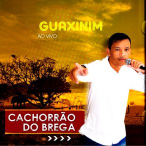 Download track Roda Roda (Ao Vivo) Cachorrão Do Brega