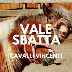 Download track Benedetto Favero Vale Sbatta