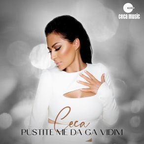 Download track Pustite Me Da Ga Vidim Svetlana Ceca Raznatovic