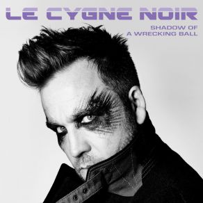 Download track Walking In The Shadow Of A Wrecking Ball Le Cygne Noir