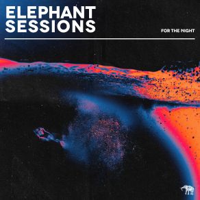 Download track Is This A Vibe The Elephant Sessions