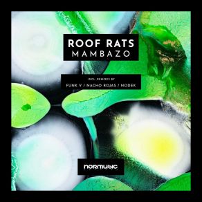 Download track Mambazo (Nacho Rojas Remix) Roof RatsNacho Rojas