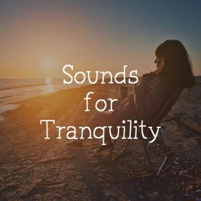 Download track Healthy State Sleep Sounds Ambient Noises