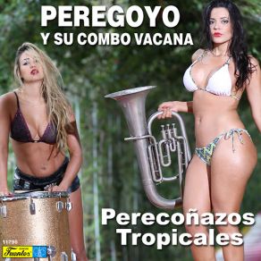 Download track Cantandole A Mi Morena Peregoyo, Su Combo Vacana