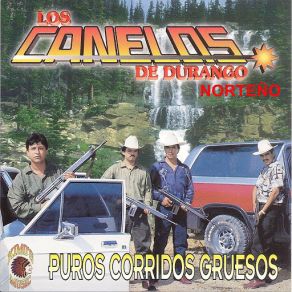 Download track Paco Nuñez Los Canelos De Durango