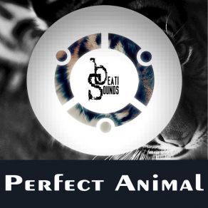 Download track Perfect Animal (Extended Version) Beati Sounds