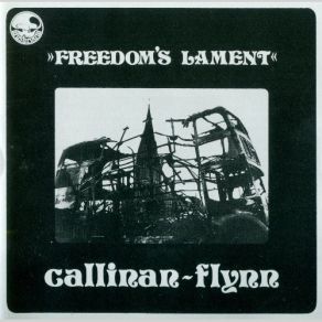 Download track Paddy's Green Shamrock Shore Callinan-Flynn