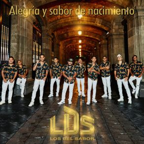 Download track Solo Contigo L. D. S. Los Del Sabor