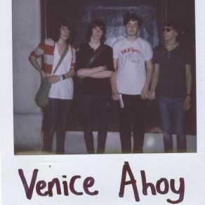 Download track Fireworks Venice Ahoy