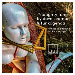 Download track Naughty Forest (Nicolas Masseyeff Remix) Dave Seaman, Funkagenda