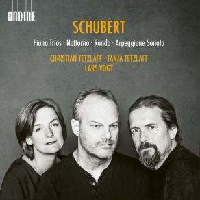 Download track 08. Piano Trio No. 2 In E-Flat Major, Op. 100, D. 929 II. Andante Con Moto Franz Schubert