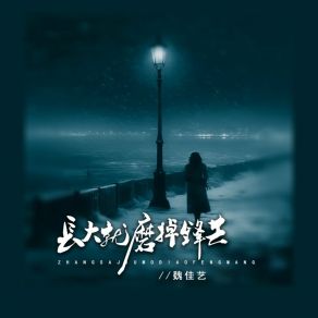 Download track 长大就磨掉锋芒 魏佳艺