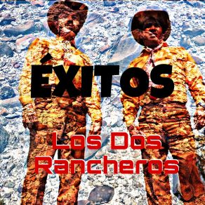 Download track Cantarito Nuevo Los Dos Rancheros