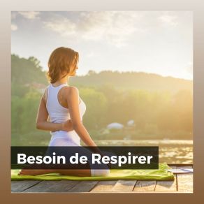 Download track Mediter Dans La Nature Musique Relaxante