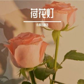 Download track 小松树 木桐合唱团