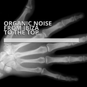 Download track To The Top (Club Mix) Organic Noise From Ibiza