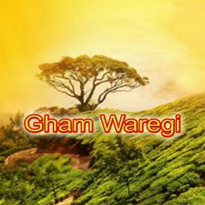 Download track Garze Che Zama Na Lare Haqeem Khan