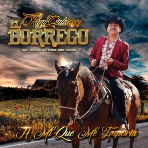 Download track El Estudiante Rigo Calderón El Borrego