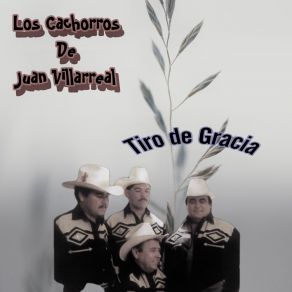 Download track La Sierra Chiquita Los Cachorros De Juan Villarreal