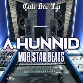 Download track Resistance Cali Boi TipVibetribebeatz