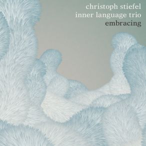 Download track The Embracing Dimension Christoph StiefelTobias Backhaus, Lukas Traxel