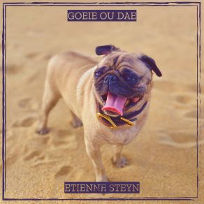 Download track Hier Etienne Steyn