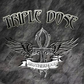 Download track I Can Fly Triple Dose