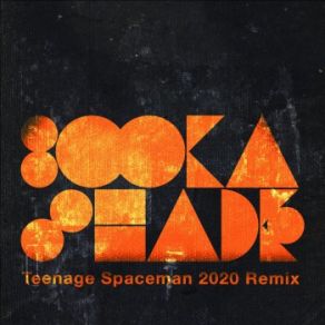 Download track Teenage Spaceman (Booka's 2020 Rework) Booka Shade