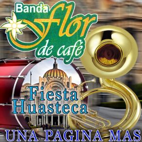 Download track La Cecilia Banda Flor De Cafe