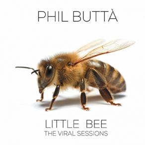 Download track Do I Still Belong To You? Phil Butta