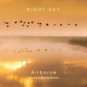 Download track Airborne (Northern Skyline Remix) Night Sky