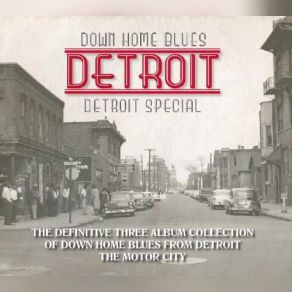 Download track Parrot Lounge Detroit Count