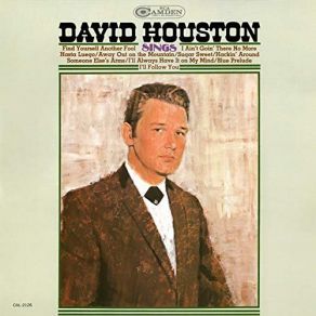 Download track Hackin' Around David Houston