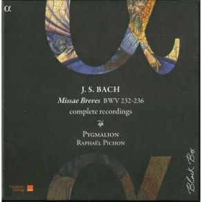 Download track 10. Missa Brevis In G Major BWV 236 - 4. Domine Deus Johann Sebastian Bach