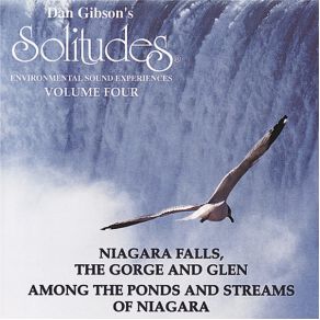 Download track Niagara Falls, The Gorge And Glen Dan Gibson'S Solitudes