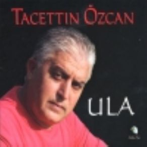 Download track Oy Gelin Tacettin Özcan