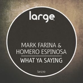 Download track Wht Ya Saying (Dub Mix) Mark Farina