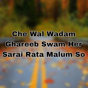 Download track Cha Wayal Che Meena Jatraba Ghware Saleem Marwat