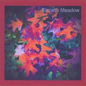 Download track Cloudwatching Elspeth Meadow