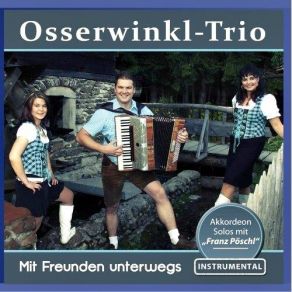 Download track Ein Abend In Der Festhalle Osserwinkl Trio