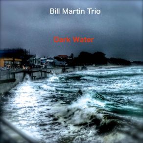 Download track Dark Water Bill Martin Trio