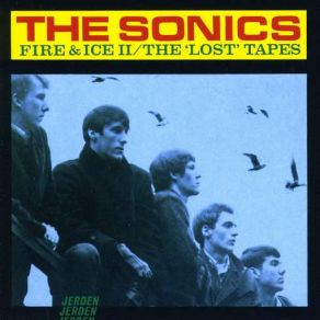 Download track Wake Me, Shake Me The Sonics