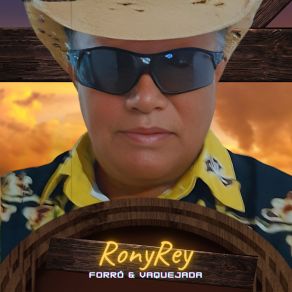 Download track É Você Mulher RONYREY