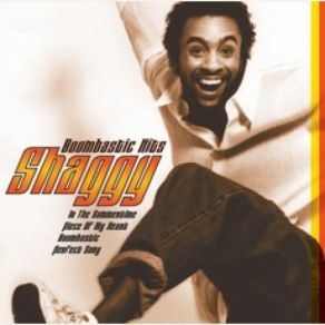 Download track In The Summertime (Sting / Shaggy Remix) Shaggy