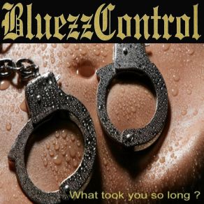 Download track Help Me Baby BluezzControl