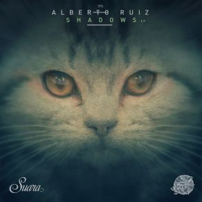 Download track Domo (Original Mix) Alberto Ruiz